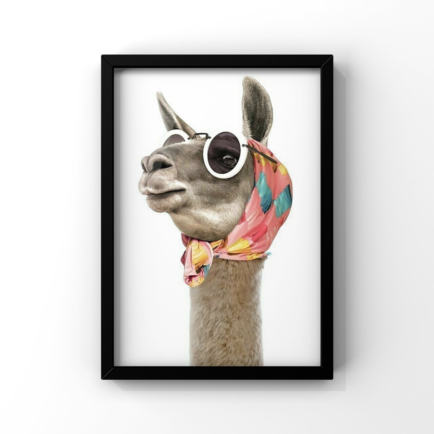 Cool camel framed Poster